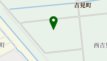 DIS 関東中央センターの地図画像