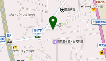 新坂 (西片)の地図画像