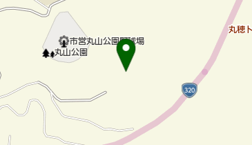 丸山公園 陸上競技場(ガイヤスタジアム)の地図画像