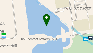 辰巳桜橋の地図画像