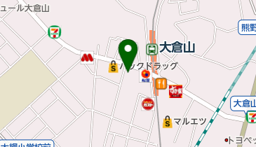 コスタ・デル・ソル 大倉山の地図画像