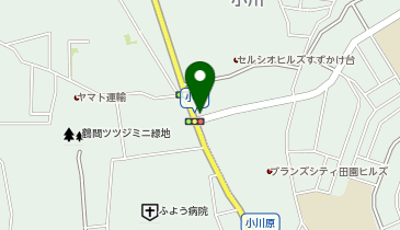 名物塩らーめん 小川軒の地図画像