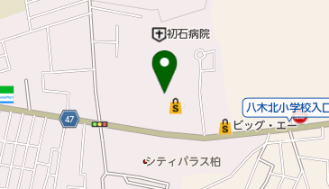 ダイソー 柏西原店の地図画像