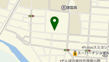 ライフカンパニー住吉の地図画像