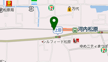 ラ・フラミンゴ 河内松原駅前店の地図画像