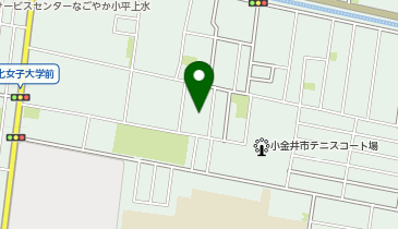 家族の家ひまわり 国分寺の地図画像