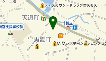 ザ・ビッグ 大牟田店の地図画像