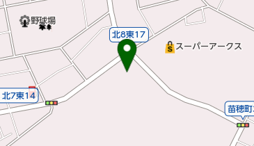 ライジング苗穂の地図画像