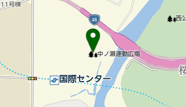 広瀬川仲ノ瀬緑地運動広場の地図画像