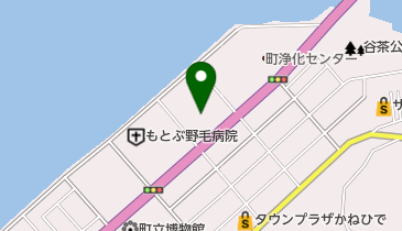 ヘンボッハン テッペ 沖縄店の地図画像