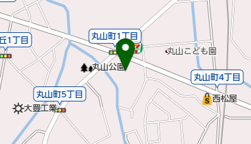 プルミエ 豊田店の地図画像