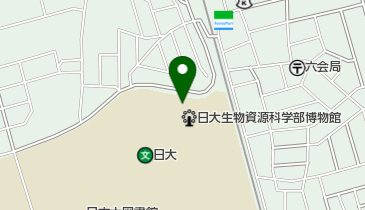 骨の博物館の地図画像