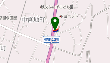ワンズレンタカー 秩父店の地図画像