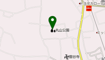阿久比町立丸山公園の地図画像