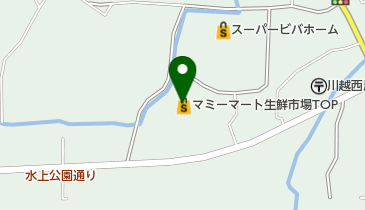 保険クリニック QLuRi川越店の地図画像