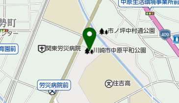 中原平和公園の地図画像