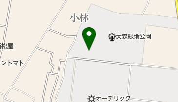 東根市大森緑地公園テニスコートの地図画像