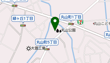 豊田市丸山公園の地図画像