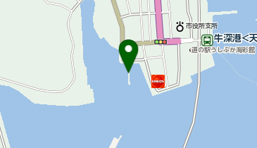 牛深海中公園遊覧グラスボート(株式会社ブルーマリンサービス)の地図画像