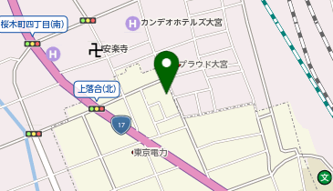 ちゅらめだかの地図画像