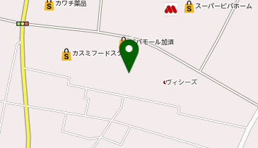 TSUTAYA(ツタヤ) 加須店の地図画像