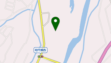 河川敷中央公園の地図画像