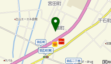 ネクステージ 高岡店の地図画像