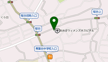 つけ麺 ががちゃい 青葉台店の地図画像