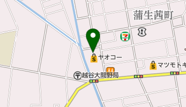 ヤオコー 越谷蒲生店の地図画像
