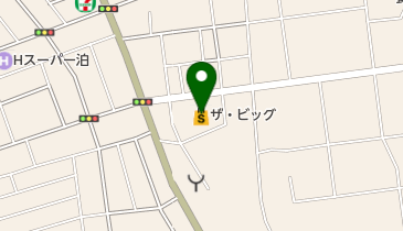 ザ・ビッグ 藤枝田沼店の地図画像