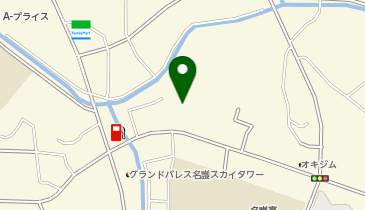 ザ・ビッグエクスプレス 名護店の地図画像