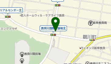 錬金堂 岐阜長良福光店の地図画像