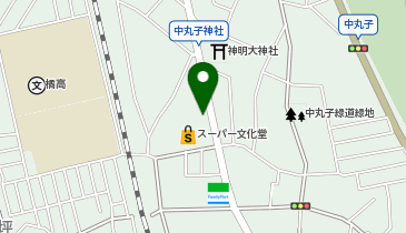 ストレージプラス川崎中丸子の地図画像