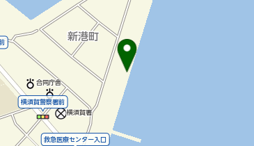 横須賀フェリーターミナルの地図画像