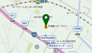 天満屋ハピータウン 府中天満屋の地図画像