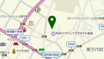 結婚相談所ノッツェ サテライト新潟の地図画像