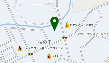 WonderGOO 野田桜の里店の地図画像