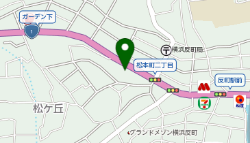コンディショニング・プロ整骨院の地図画像