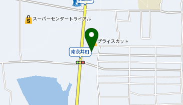 ドミノ・ピザ 奈良永井店の地図画像