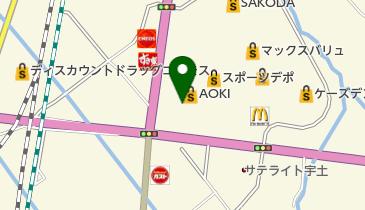 SPORTS DEPO(スポーツデポ) 宇土店の地図画像