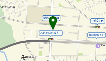 ピースドルフィンの地図画像