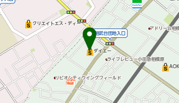 QUICK COLOR-Q(クイックカラーQ) ダイエー相武台店の地図画像