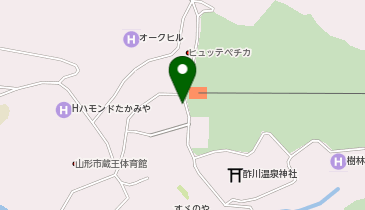 BEST RENTAL PRO SHOP(ベスト レンタル プロ ショップ)の地図画像