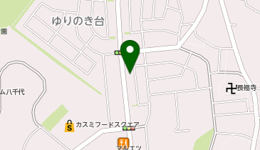 一本堂 八千代中央駅前店の地図画像