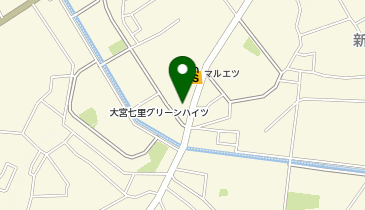 OLD SAIGON(オールドサイゴン) 埼玉店の地図画像