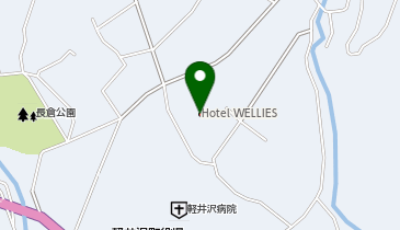 ALBERT'S British Dining Hotel Wellies Karuizawa(アルバーツ ブリティッシュ ダイニング ホテル ウェリーズ カルイザワ)の地図画像