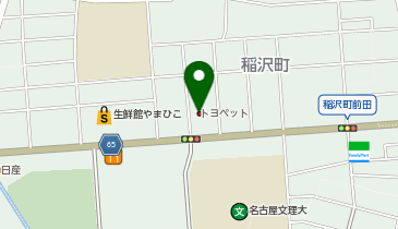 FIT-EASY(フィット イージー) 稲沢公園前店の地図画像