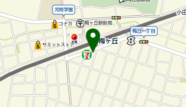 パレットプラザ 梅ヶ丘店の地図画像
