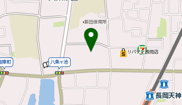 パレットプラザ 西友長岡店の地図画像