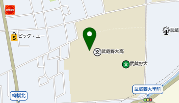 武蔵野大学高等学校の地図画像
